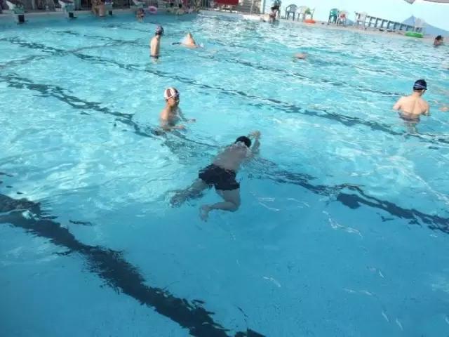 蛙泳教学十节课教案,自由泳教学十节课教案