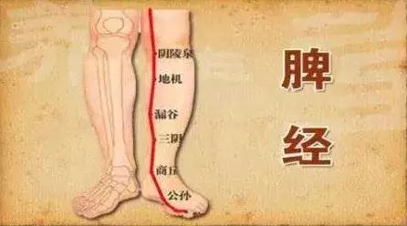 中医全身上下都是病,掌握中医的常识就能少生病