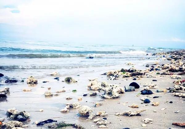 安利游玩攻略,安利北海