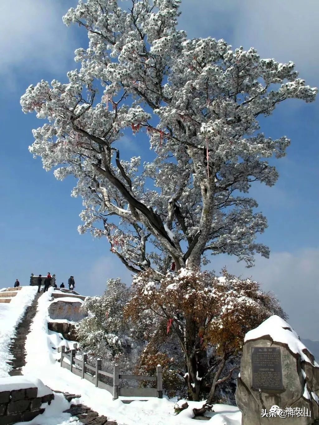 这就是生活第40集刘恺威,这就是街舞3