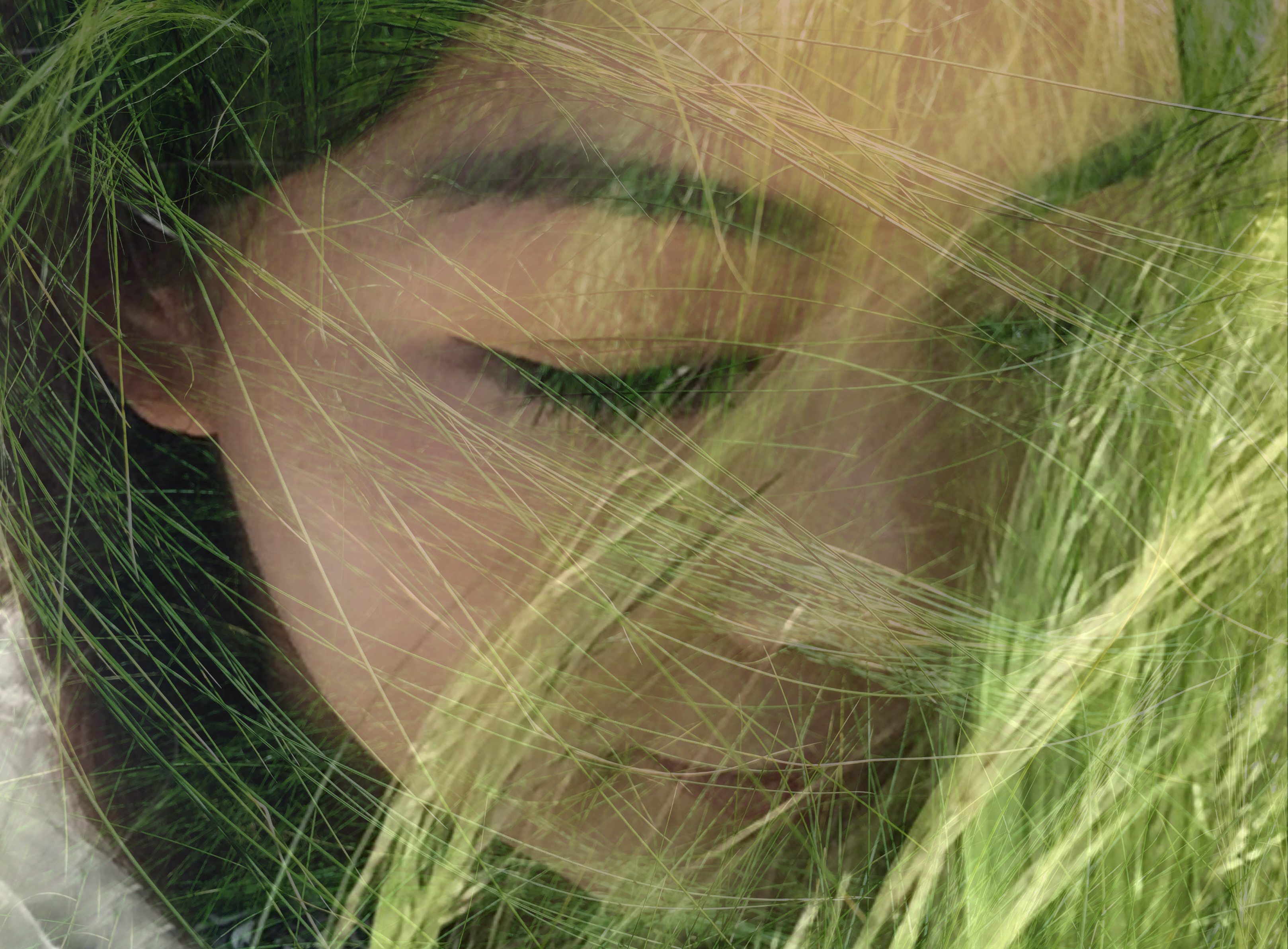 什么是拍照构图,什么是拍照