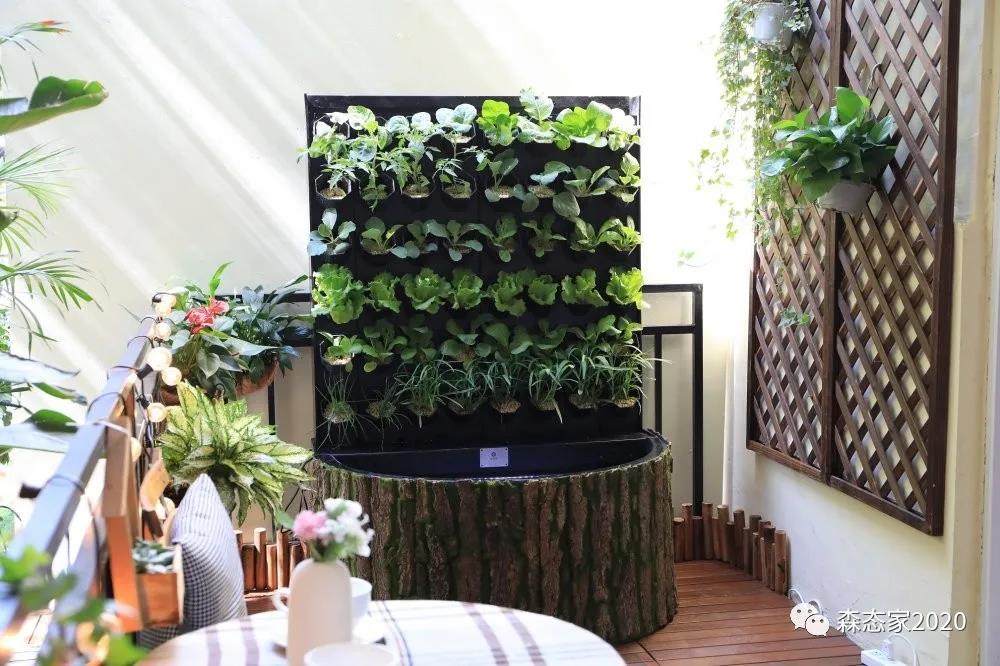 母亲节,敢和你妈这样玩吗?朋友圈豪嗮幸福