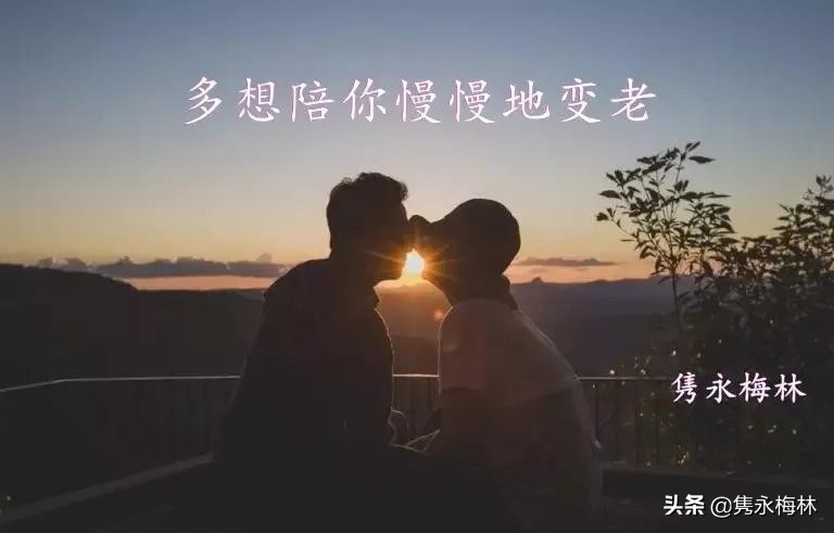 多想陪你慢慢的变老有声小说,多想陪你慢慢的变老免费听