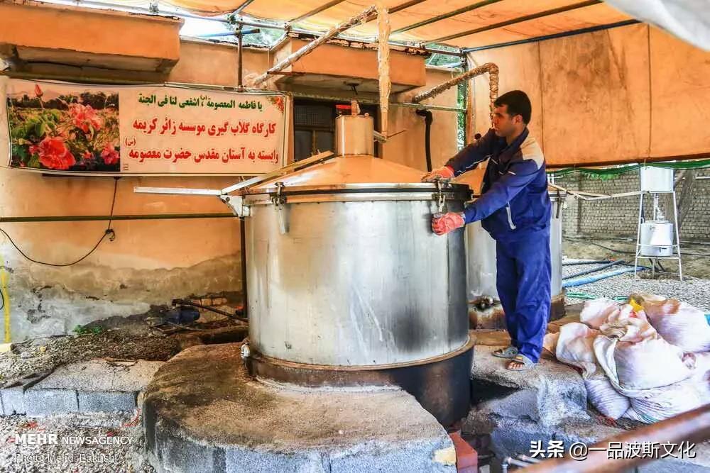 伊犁大马士革玫瑰花,伊朗大马士革纯玫瑰露