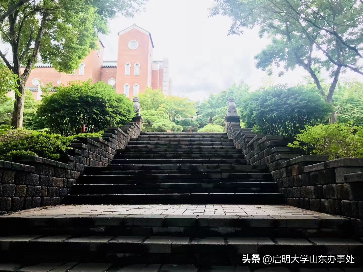 韩国启明大学语学院,韩国启明大学专业