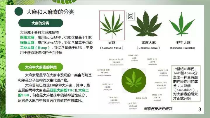 生物学博士亲授：*麻大**二酚的药用价值、制备技术和行业发展趋势