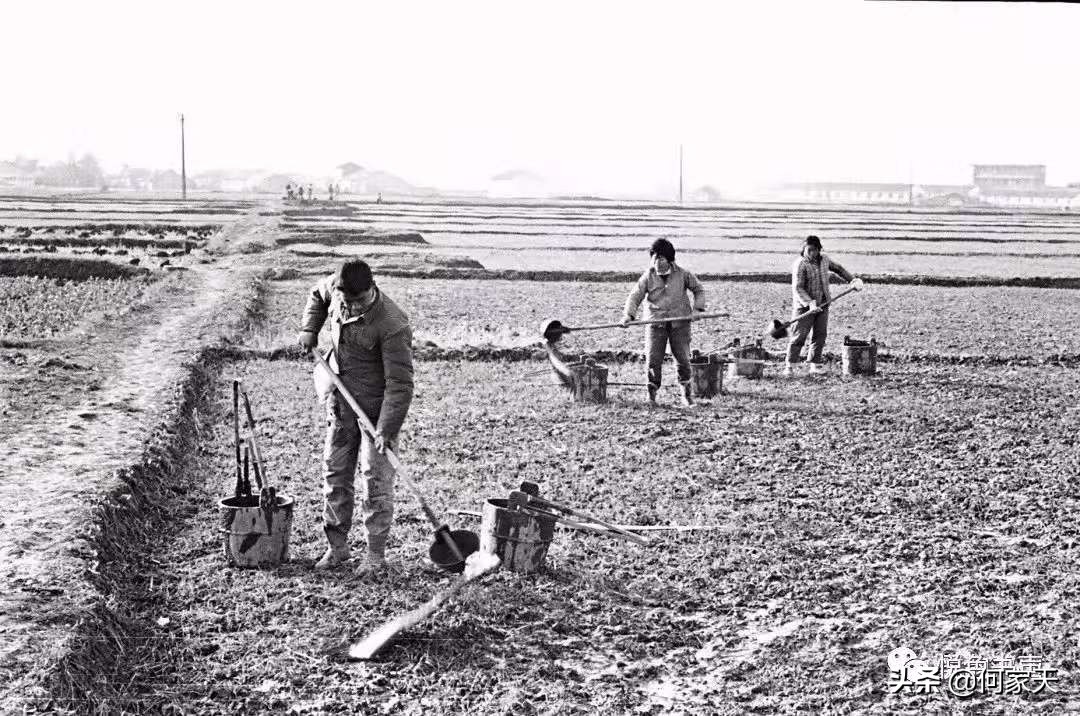 难忘往事9：在那个连尿都可以买卖的年代——“粗尿趣话”