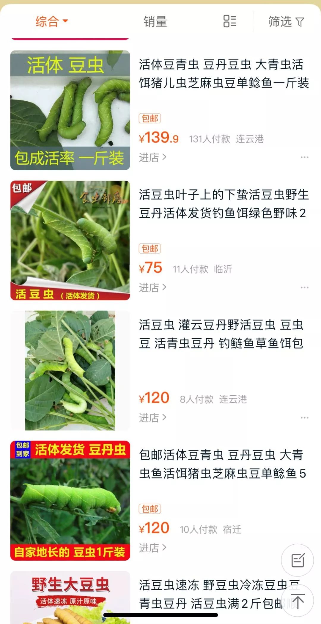 富川这种虫子卖出天价，炒到400元/斤，你敢吃吗？