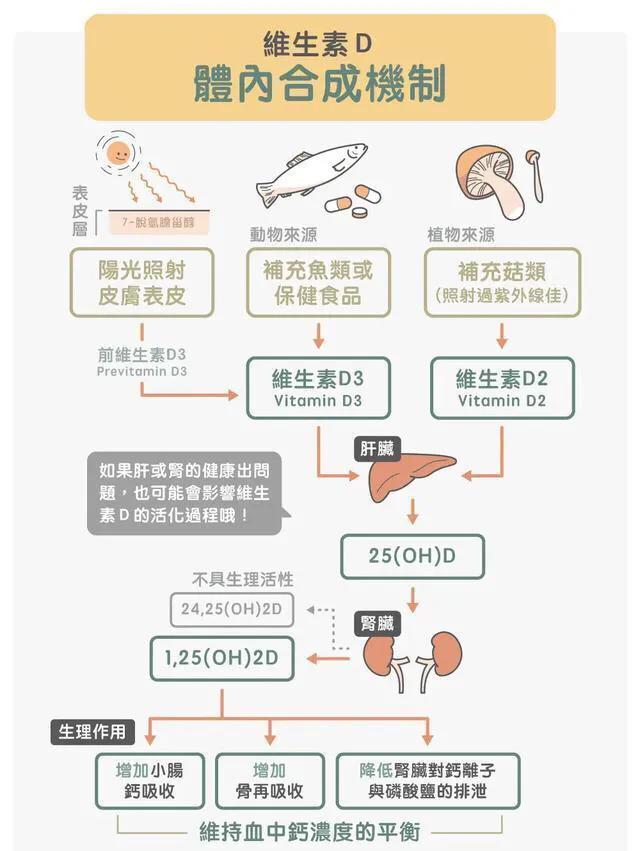 保湿防晒真的能防止衰老吗,防晒霜美白抗衰