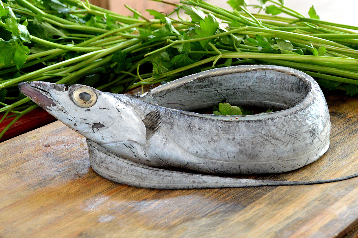 买带鱼黄眼睛和黑眼睛哪个好,买带鱼黄眼睛的好还是黑眼睛的好