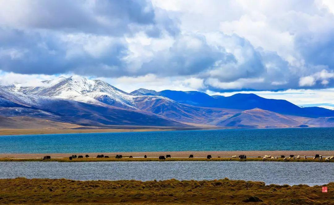 109青藏线进藏详细路线图,初次进藏川藏线青藏线哪条线路好