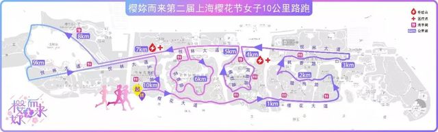 “樱妳而来”，一起奔跑！在魔都的早樱花海下邂逅美丽的自己！