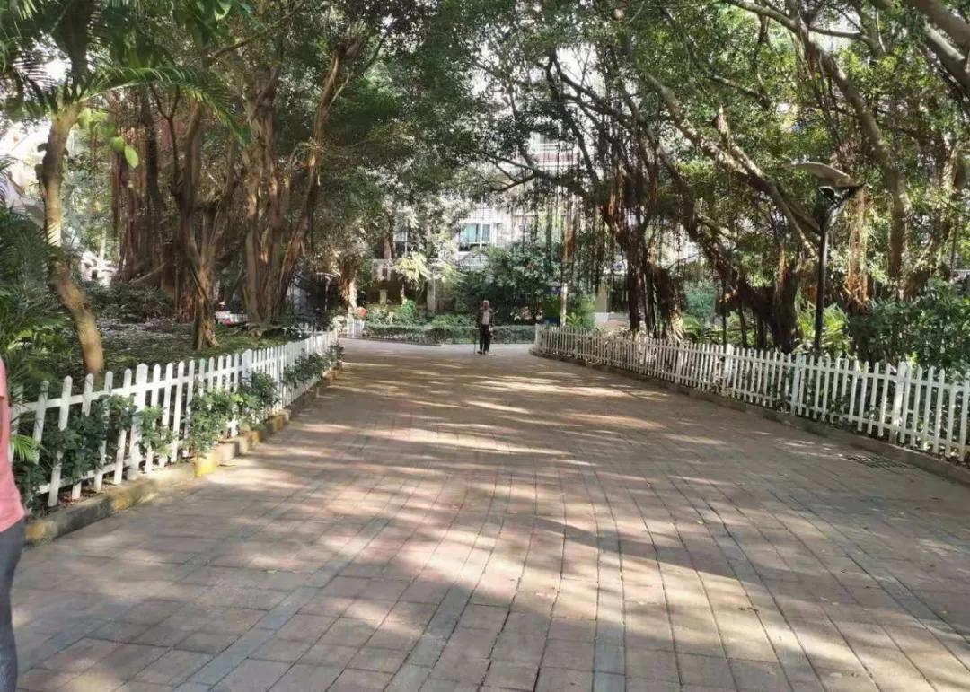 阳光棕榈园施工图,阳光棕榈园二期评测