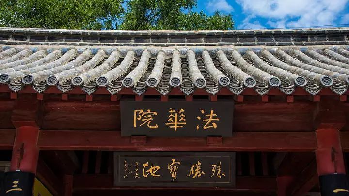 种草一个被遗忘的小岛，背山靠海，拥有山东最美的“童话屋”，美到窒息！