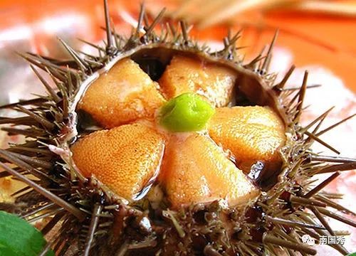 海口特产水果有哪些,海南海口特产必买有哪些