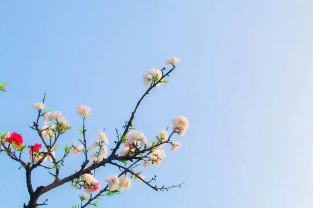 人生岁月感怀诗,孤独落寞伤感的五句诗