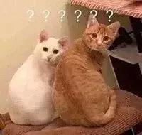 欧阳娜娜推荐止痛贴,欧阳娜娜擦的药膏