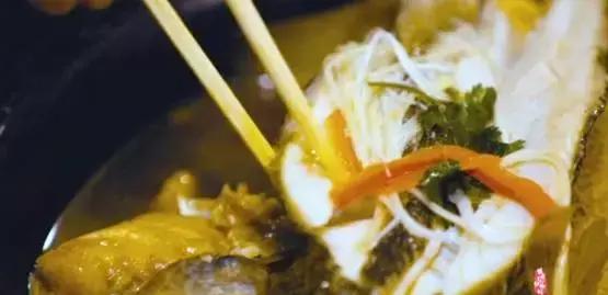 长途运输的鱼怎么入缸,短距离活鱼运输的技巧有哪些