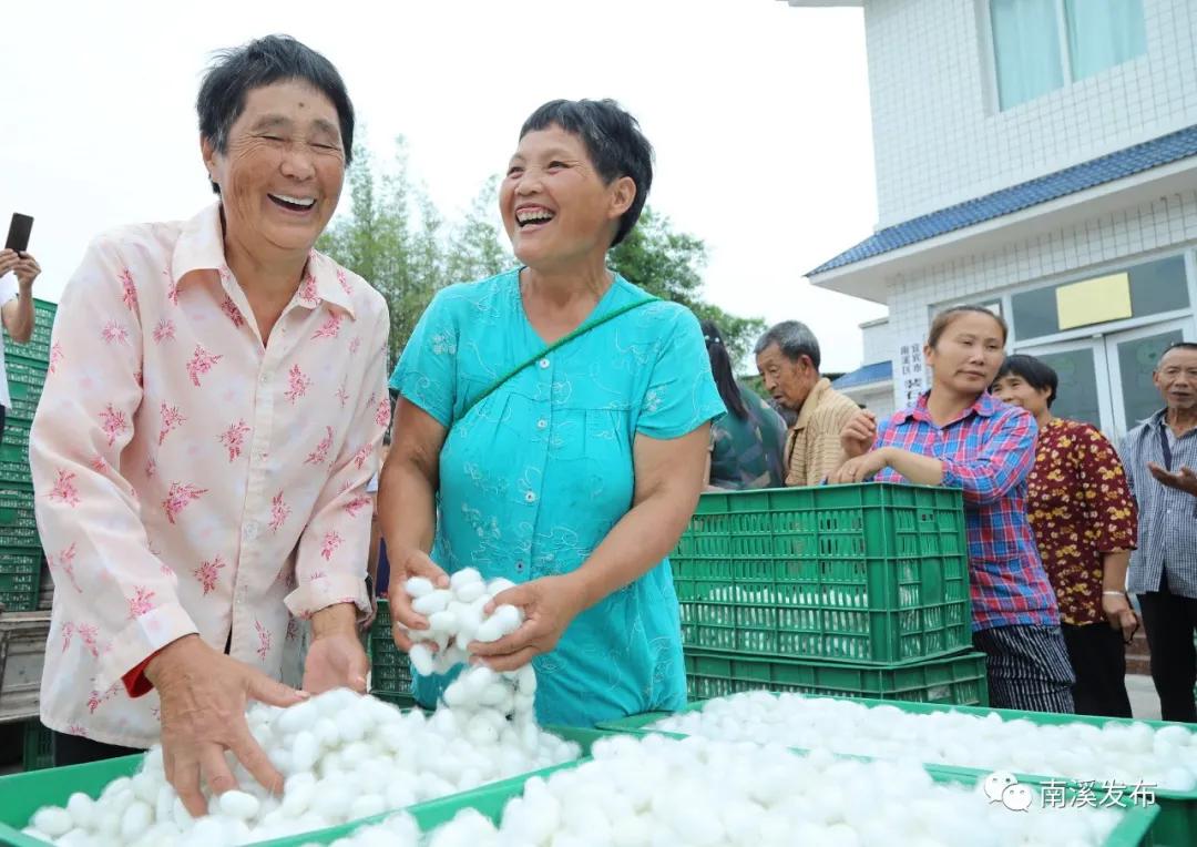 栉风沐雨一百年砥砺前行谱华章,栉风沐雨秉初心砥砺奋进谱华章