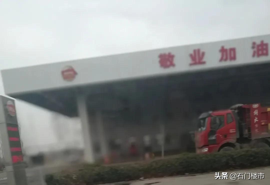 实探现场,实探日本果园