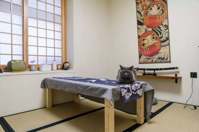 每天只接待12人的餐厅,天津私房菜馆