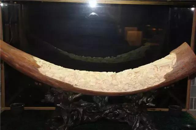 猛犸牙时间久了纹路没了 (猛犸牙时间久了会怎样)