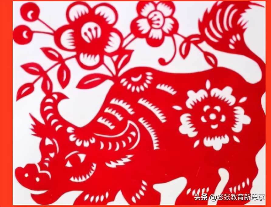 涨知识是什么原因,你知道牛为什么叫做牛吗