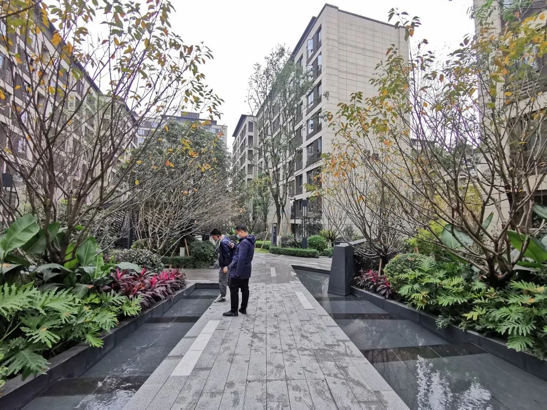 易境研学·重庆站|第一期