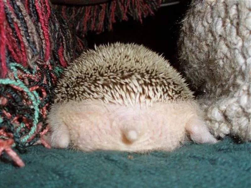 大家都在用什么解压方法,一个很神奇的解压方式