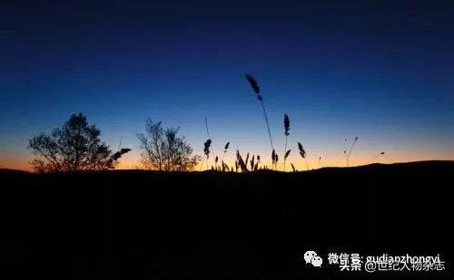 前半生拼命赚钱,前半生赚钱后半生看病