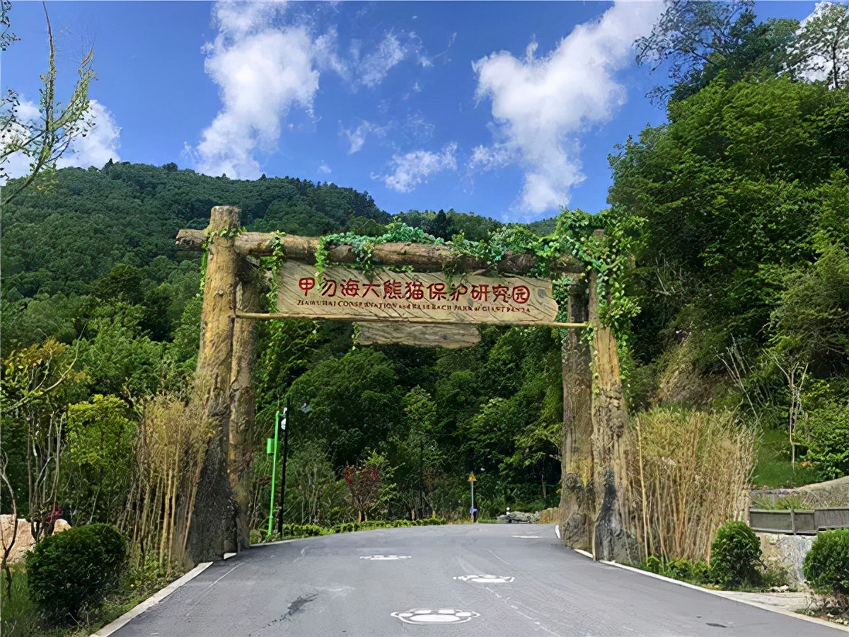 九寨沟路上招手,前方到站宁强