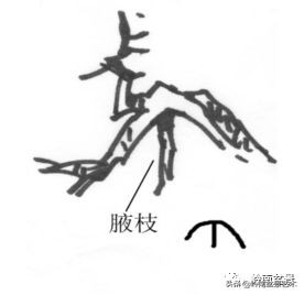 名师讲堂节选视频,名师课例分享及研讨交流