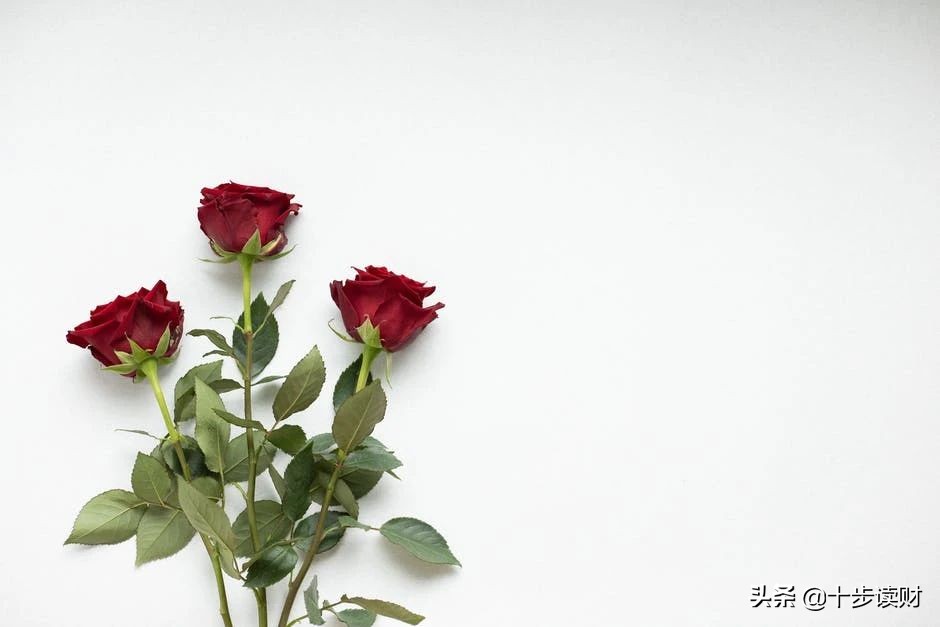 泰康尊享世家终身寿靠谱吗,泰康尊享世家增额版2023终身寿险