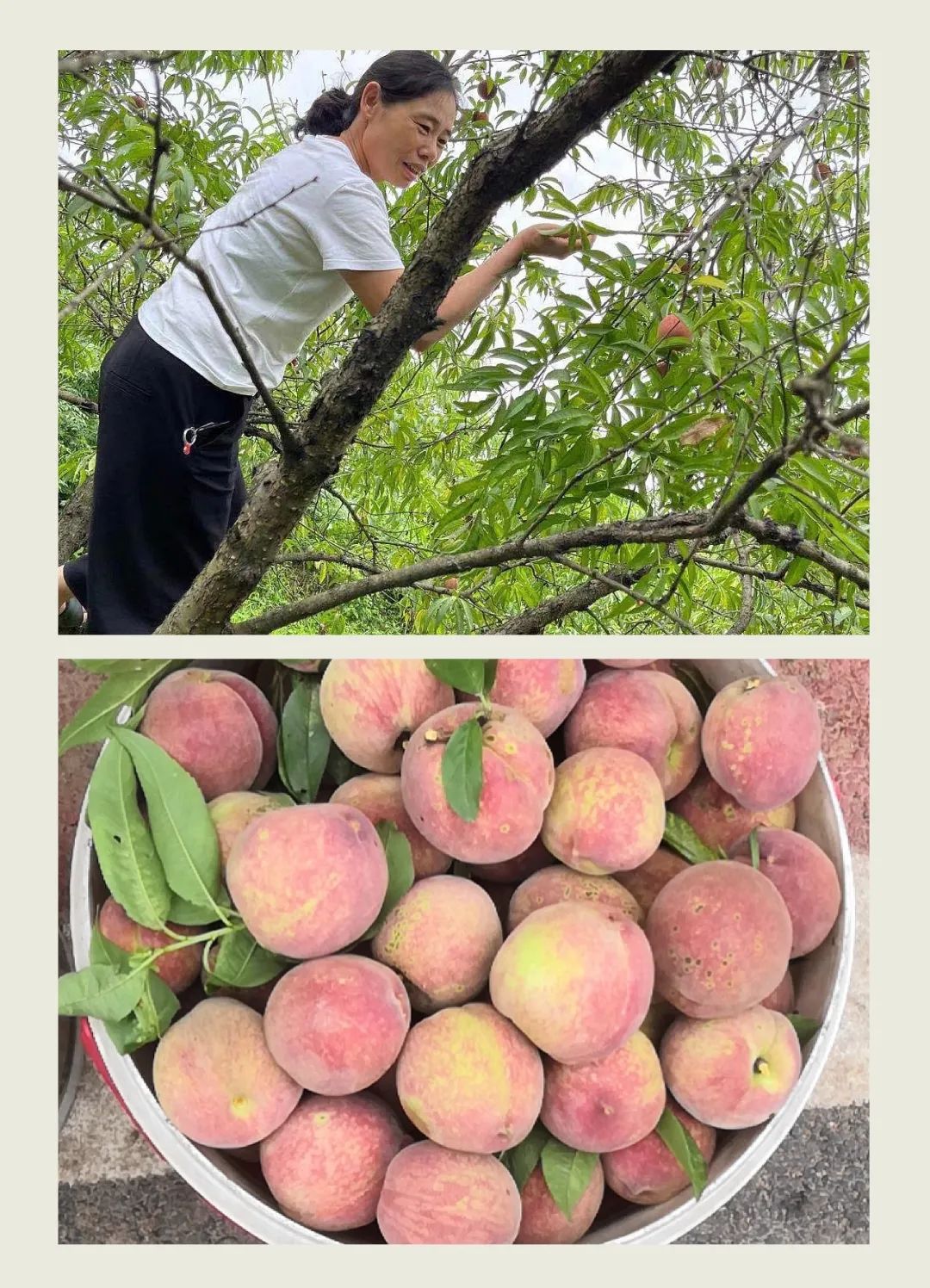 七月的晚霞好美,夏天六月的晚霞