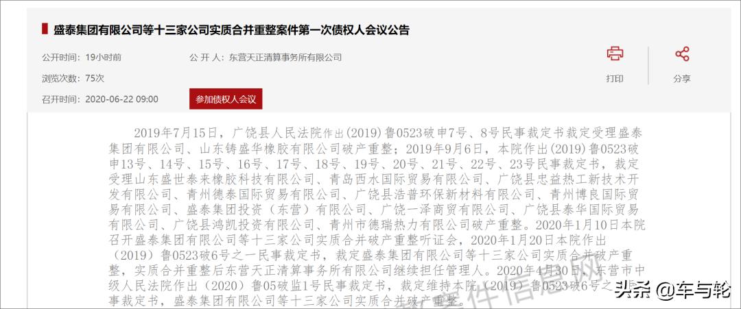 盛泰集团重整投资,盛泰重整投资人