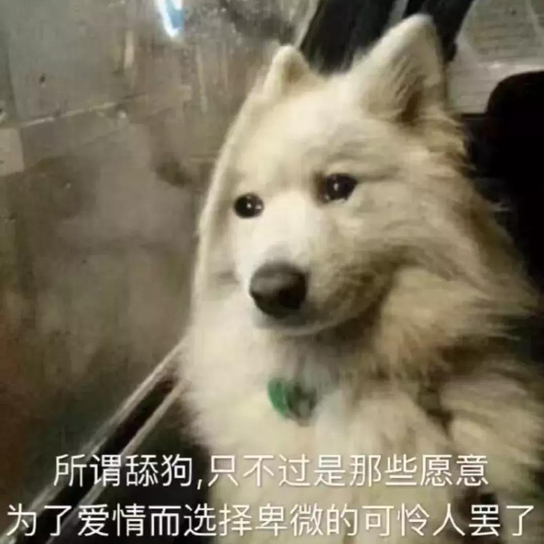 杠精球迷,佛系球迷