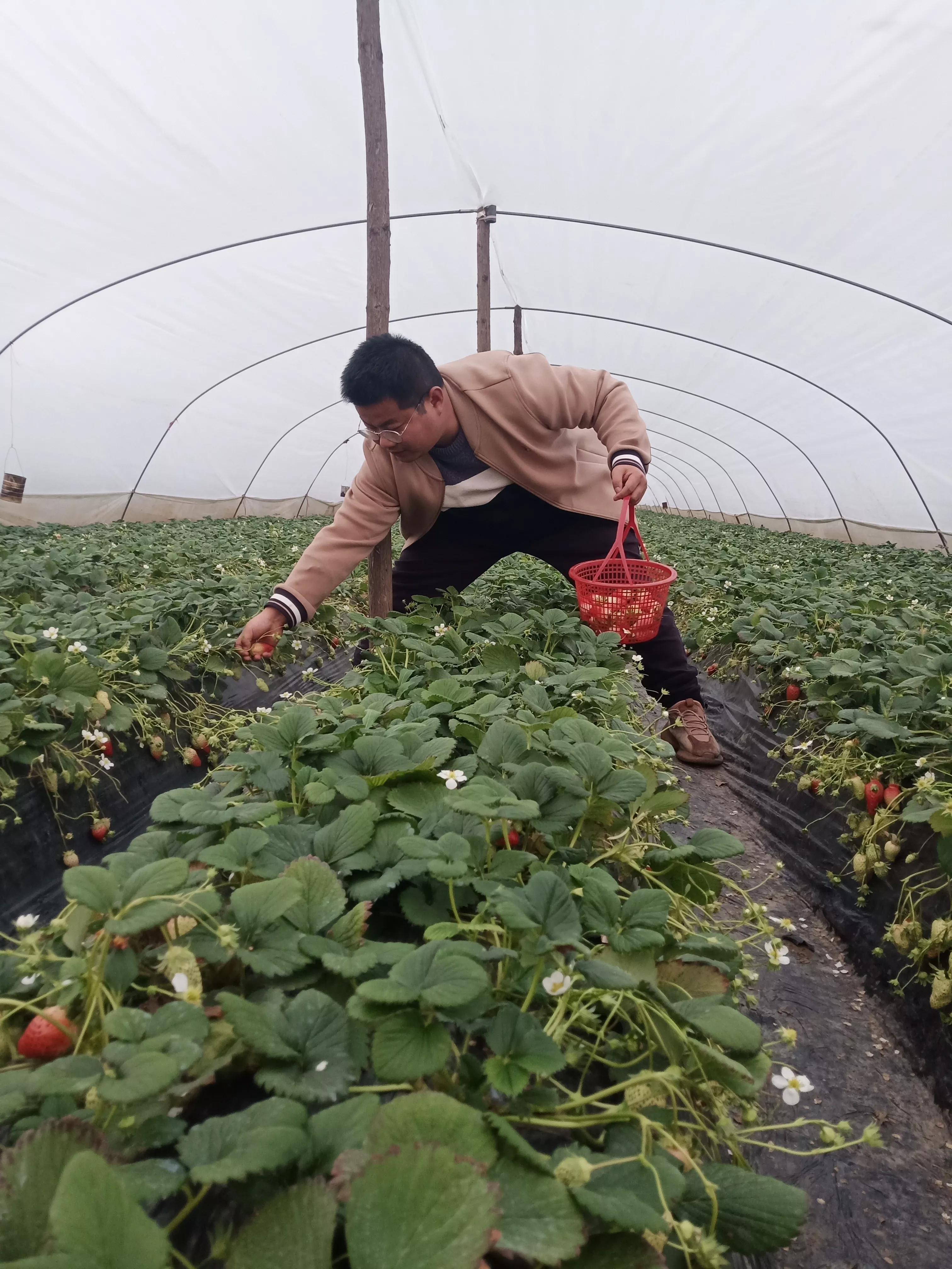 足球氛围好的城市西安,西安交大足球队什么水平