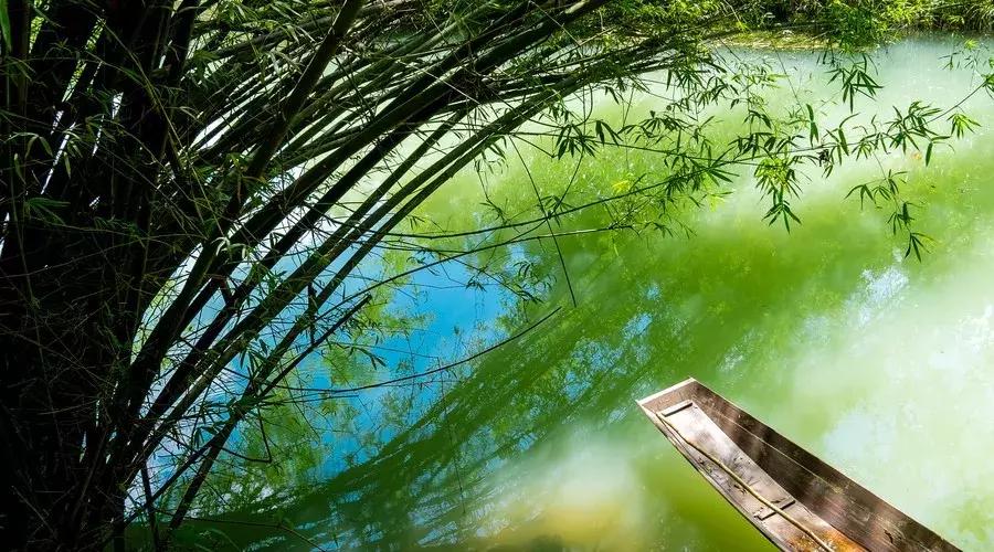 世间最美好的事不过一盘人间烟火,世间最浪漫的事也不过如此