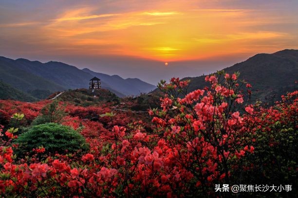 湖南省浏阳市有多少个镇,湖南省浏阳曾经是个市吗