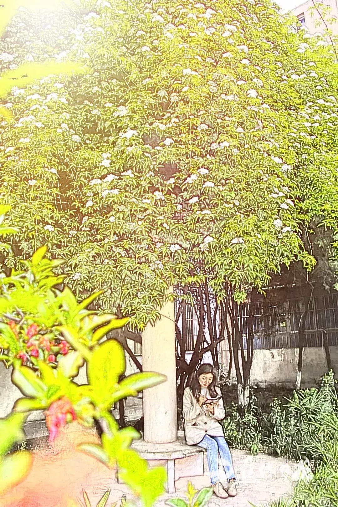 焦作市第十一中全国排名,焦作市第十一中学