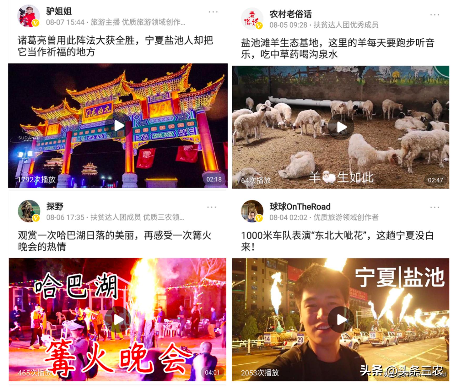 风物中华大好河山,滩羊之乡风物盐池