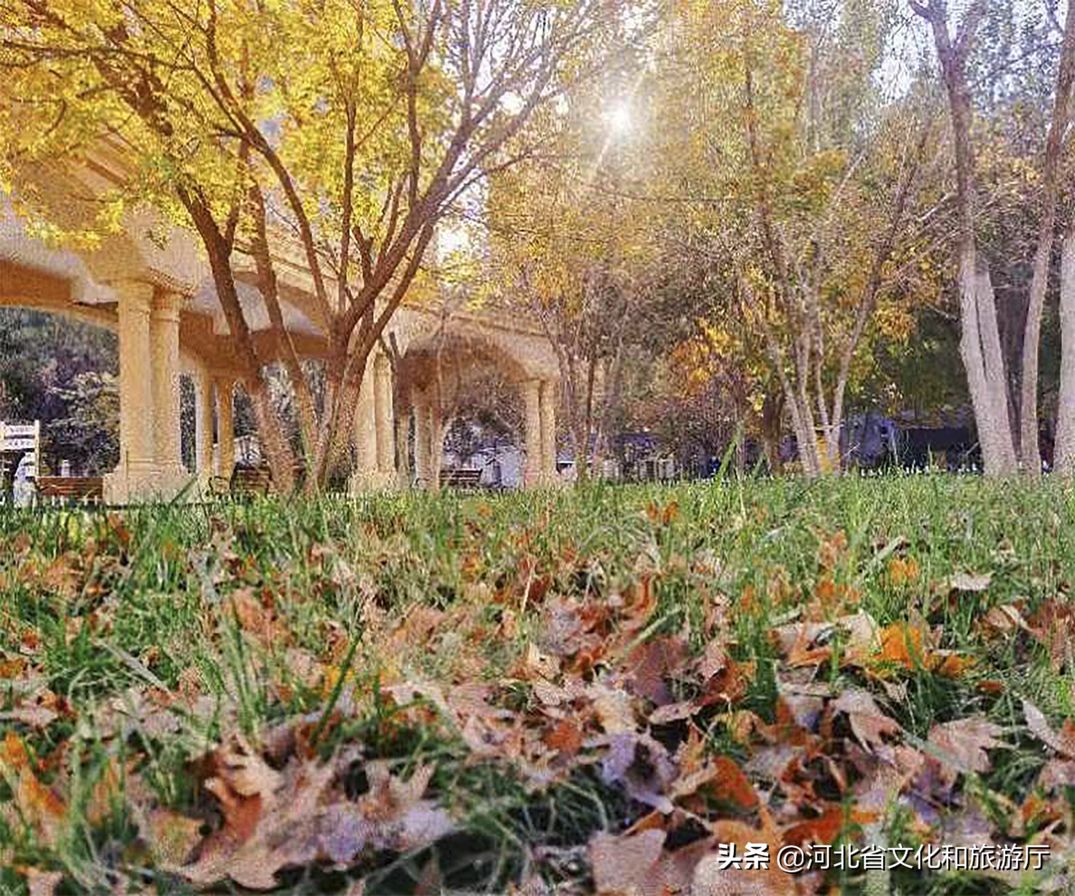 石家庄醉美夕阳,石家庄紫晶公园原址