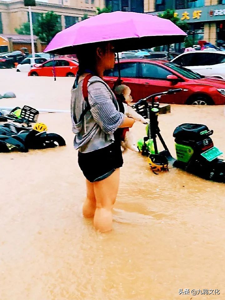 郑铁五号线启示录：那一夜，河南人用力活着，全心爱