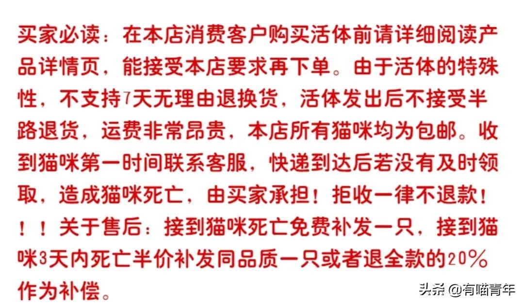 pdd买猫和老鼠,pdd两百买的猫