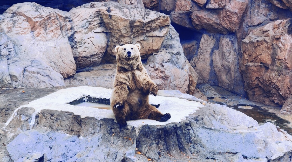 珠海长隆海洋王国吃住旅游攻略,最新珠海长隆海洋王国一日游攻略