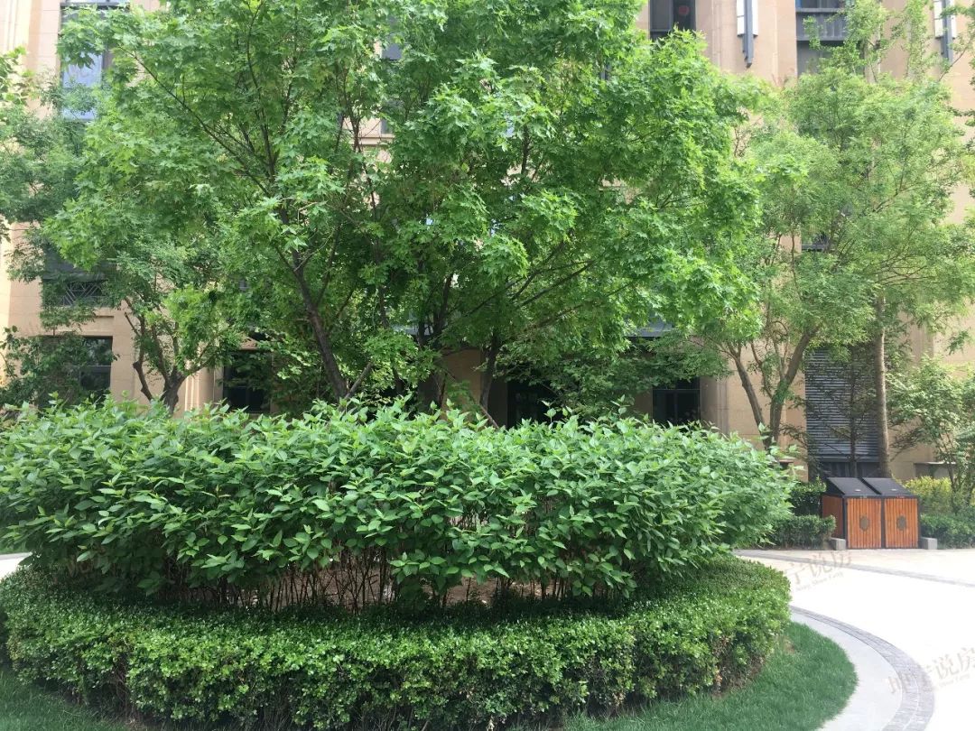 长安区哪个楼盘值得入手,长安板块楼盘有哪些好点