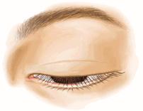 从丑小鸭到白天鹅的经历了什么,从丑小鸭到白天鹅蜕变