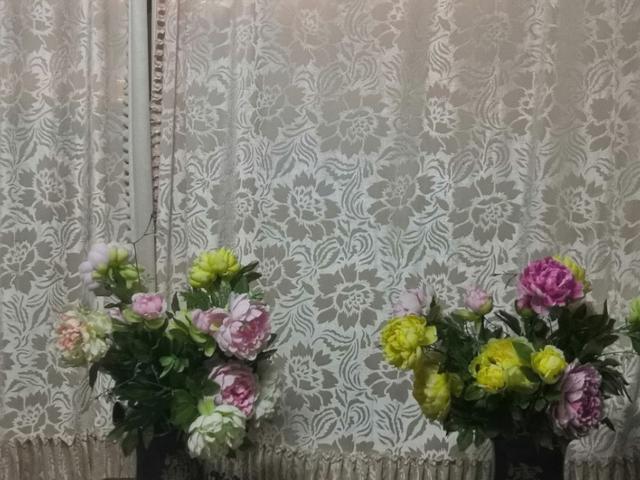 西夏的演变,西夏区发展现状