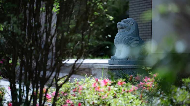 好车位要靠抢吗,好车位都被选完了