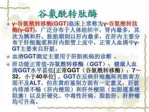 肝功能检测指标里有几个酶,肝功能血液化验单各项指标的意义
